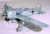 Fw190zeprlev.JPG (30058 bytes)