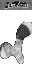 Ji-Kon