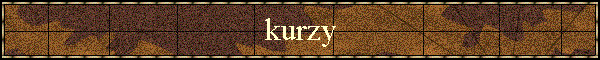 kurzy