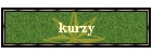kurzy
