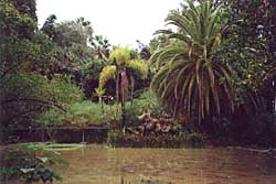 botanick zahrada