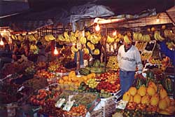 nkup ovoce v Casablance