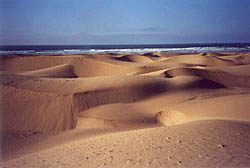duny na pobe nedaleko st eky Chebiky