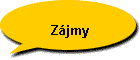 Zjmy