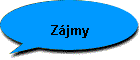 Zjmy