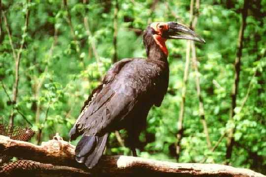 ZP�T NA MAPKU ZOO
