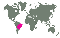 Brazílie, Bolívie, Paraguay a severní Argentina