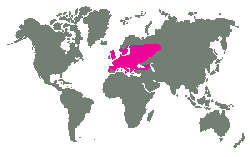 Evropa a po Ural, severn Turecko a rn