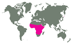 Afrika jižně od Sahary