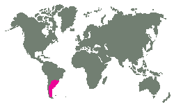 JV Brazlie, vchodn Bolvie a cel Argentina