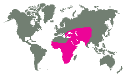 JV Evropa, Asie, Afrika jižně od Sahary