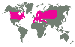 Evropa, Asie, Sev. Amerika a severní Maroko