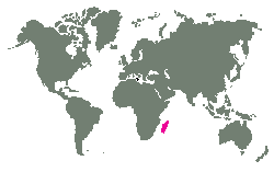 Západní a jiní část Madagaskaru.