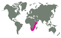 Vchodn a jihozpadn Afrika