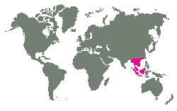 Thajsko, Barma až po jižní Čínu, Sumatru a Kalimantan