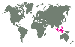 Jižní Asie, Indonésie, Filipíny