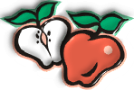Přprava kvasu z jablek.