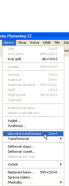 LIBOVOLN� TRANSFORMACE