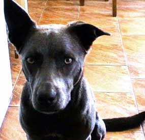 Ferda se fot� v kuchyn� (10 kB)