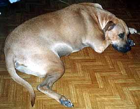 Odpo��v�m (9 kB)