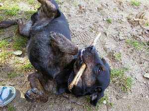 Mat�j se v�l� (16 kB)