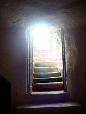 N�vrat z hrobu do sv�tla sv�ta (8 kB)