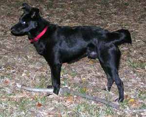 Andy na proch�zce (15 kB)