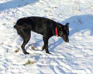 Andy na sn�hu (11 kB)