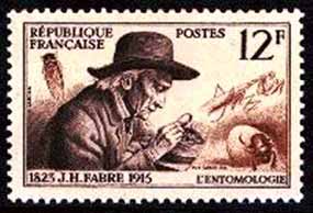 Skarabeus, kudlanka a cik�da  na po�tovn� zn�mce (12 kB)