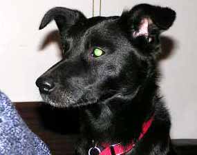 Indy je fe��k (8 kB)