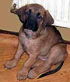 �t�n�tka (5 kB)