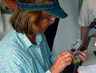 Dobrovolnice z Ruska krou�kuje pt��ky (17 kB)