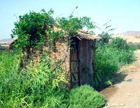 Odtud lze v klidu pozorovat pt��ky (13 kB)