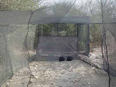 Konec velk� s�t� (23 kB)