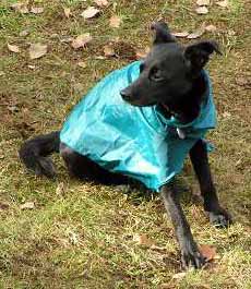 Py�n� Indy ve slu�iv�m oble�ku (16 kB)