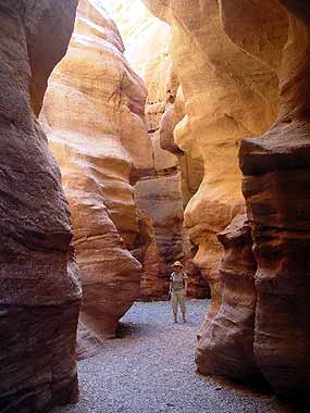 Kr�sa hry barev sv�tla a st�nu v �erven�m ka�onu (17 kB)