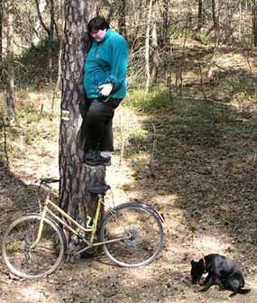 Indy p�i�el bez bachyn�... (23 kB)