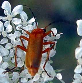 �, okraj, tak�e p�jdeme doleva (11 kB)