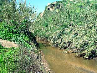 ���ka Poleg, ve kter� jsou velk� �elvy (25 kB)