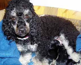 Lucinka se star� o sv� �t���tka (10 kB)