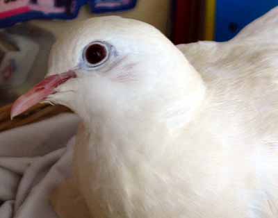 Te� se na m� pod�vejte z jin�ho �hlu (7 kB)