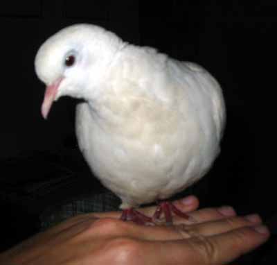 Ti, co m� je�t� neznaj�, tak se po��dn� pod�vejte! (6 kB)