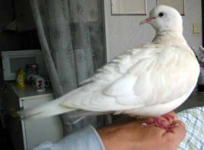 Kone�n� m� vzali na proch�zku po byt� (8 kB)