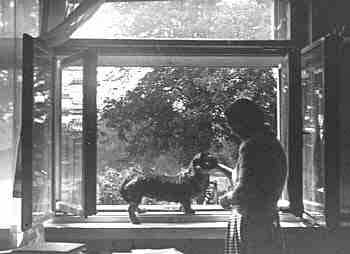 Okno - deska 9x12 (10 kB)