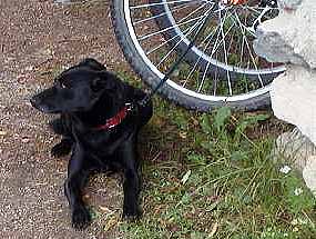 Indy odpo��v� u kola (17 kB)