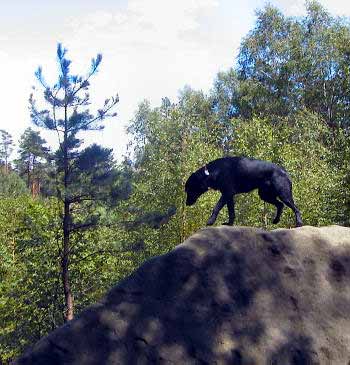 Indyho vrcholov� foto (25 kB)