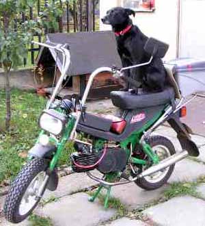 Indy na m� minimotorce Stella (18 kB)