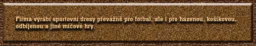 Popis firmy
