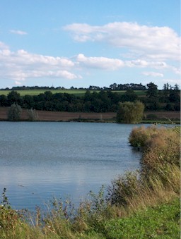 vrba.jpg (26675 bytes)