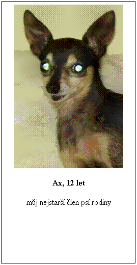 Textov pole: Ax, 12 let
mj nejstar len ps rodiny
 
 
 
